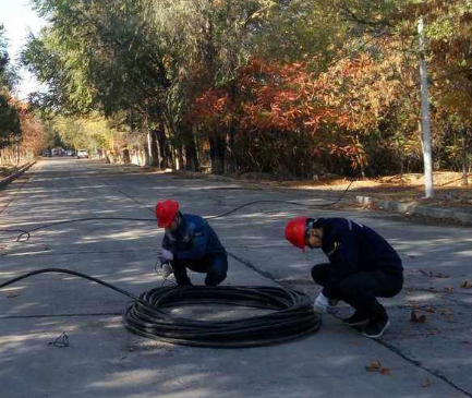 加速云计算与数据处理的革命性突破—加速器云服务器平台解析