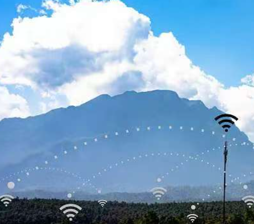 外贸服务器访问系统是企业进行国际贸易时，用于管理和处理数据、交易的关键系统。以下是对该系统的详细分析和总结